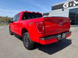 Used 2021 Ford F150 XLT w/ Equipment Group 302A High image 5