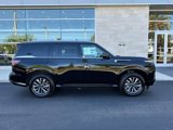 New 2025 INFINITI QX80 Pure image 5