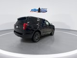 New 2025 Ford Expedition Platinum image 5