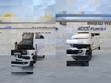 New 2025 Ford F250 Platinum image 3