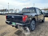 New 2025 Ford F150 STX w/ Equipment Group 200A image 4