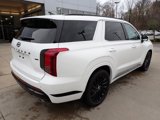 New 2025 Hyundai Palisade Calligraphy image 2