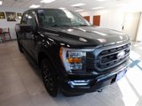 Certified 2022 Ford F150 XLT w/ Equipment Group 302A High image 4