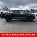 New 2025 Ford F150 XLT w/ Equipment Group 303A High image 2