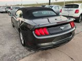 Used 2019 Ford Mustang Convertible image 5