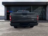 Used 2019 Ford F150 XLT w/ Equipment Group 301A Mid image 4