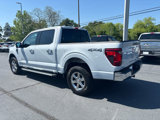 New 2025 Ford F150 XLT image 3
