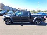 Used 2013 Ford F150 XLT w/ Luxury Equipment Group image 2