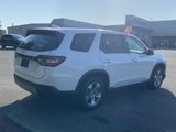 Certified 2025 Honda Pilot EX-L image 5