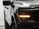 Used 2024 Ford F150 STX image 4