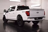 New 2025 Ford F150 XLT image 5