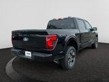 New 2025 Ford F150 STX w/ Equipment Group 200A image 4