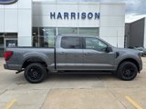 New 2025 Ford F150 XLT image 4