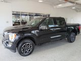 Certified 2023 Ford F150 XLT w/ Equipment Group 302A High image 5