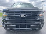 New 2025 Ford F150 XLT image 3