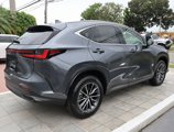New 2025 Lexus NX 250 FWD w/ Premium Package image 5