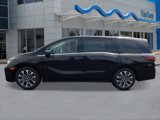 New 2026 Honda Odyssey Elite image 2