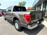 Used 2022 Ford F150 XLT w/ Equipment Group 301A Mid image 5