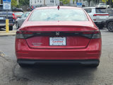 Certified 2024 Honda Accord EX image 5