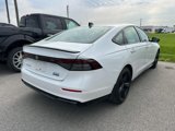 Used 2023 Honda Accord Sport image 3
