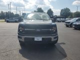 New 2025 Ford F150 XLT w/ Equipment Group 303A High image 2