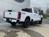 New 2025 Ford F250 4x4 Crew Cab Super Duty image 4