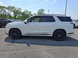 New 2025 Hyundai Palisade Calligraphy image 4