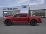 New 2025 Ford F150 XLT w/ Equipment Group 302A MID image 3