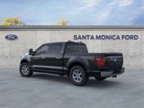 New 2025 Ford F150 XLT w/ Equipment Group 301A Standard image 4