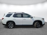 New 2025 Honda Pilot Elite image 4