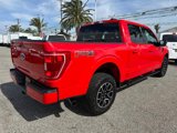 Used 2021 Ford F150 XLT w/ Equipment Group 302A High image 6