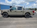 New 2025 Ford F150 STX image 6