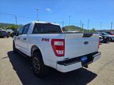 Certified 2023 Ford F150 XL w/ STX Appearance Package image 3