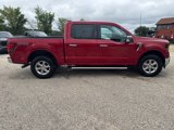 New 2024 Ford F150 XLT w/ Equipment Group 302A MID image 6
