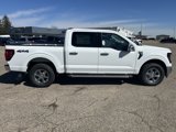 New 2025 Ford F150 XLT image 6
