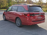 New 2025 Honda Odyssey Touring image 4