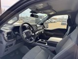 New 2025 Ford F150 XLT w/ Equipment Group 302A MID image 4