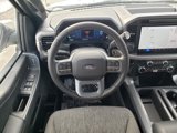 New 2025 Ford F150 XLT w/ Equipment Group 302A MID image 3