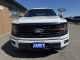 New 2025 Ford F150 XLT w/ Equipment Group 302A MID image 3