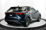 Used 2025 Lexus RX 450h AWD w/ Convenience Package image 5
