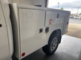 New 2024 Chevrolet Silverado 3500 W/T w/ WT Convenience Package image 4
