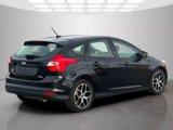 Used 2014 Ford Focus SE w/ SE Sport Package image 5