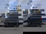 New 2025 Ford Expedition Platinum image 3