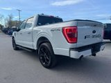 Used 2023 Ford F150 XLT w/ Equipment Group 302A High image 4