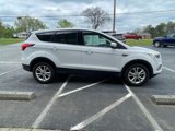 Used 2019 Ford Escape SE image 5