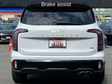 Used 2024 Kia Telluride EX X-Line image 5