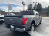 New 2025 Ford F150 XLT w/ Equipment Group 302A MID image 5