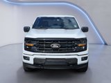 New 2025 Ford F150 XLT image 2