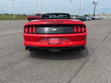 Used 2023 Ford Mustang Premium image 4