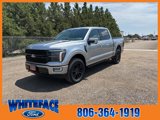 New 2025 Ford F150 Platinum image 2